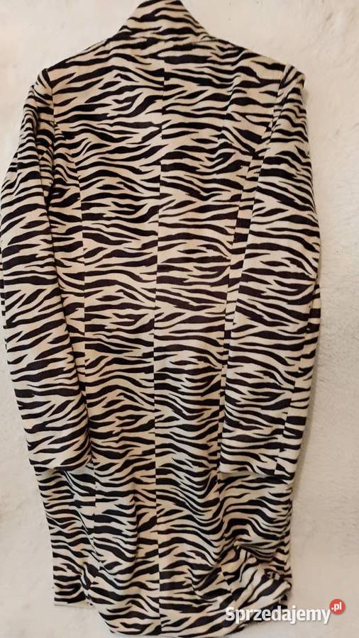 Zebra by Isabell Kristensen Grudziądz