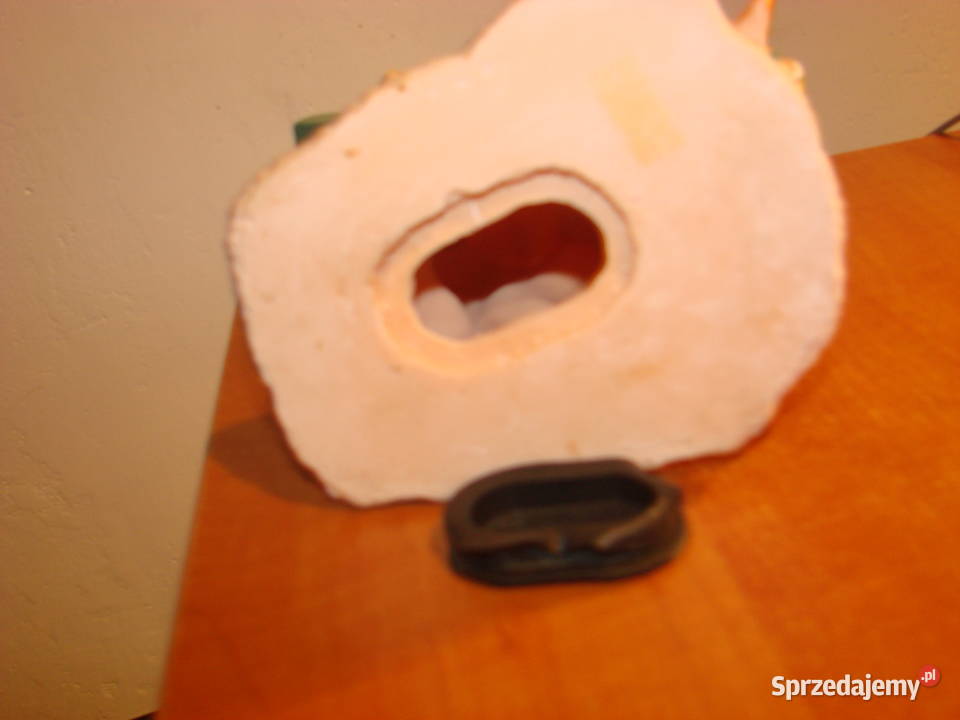 Świnie na plaży skarbonka pomorskie