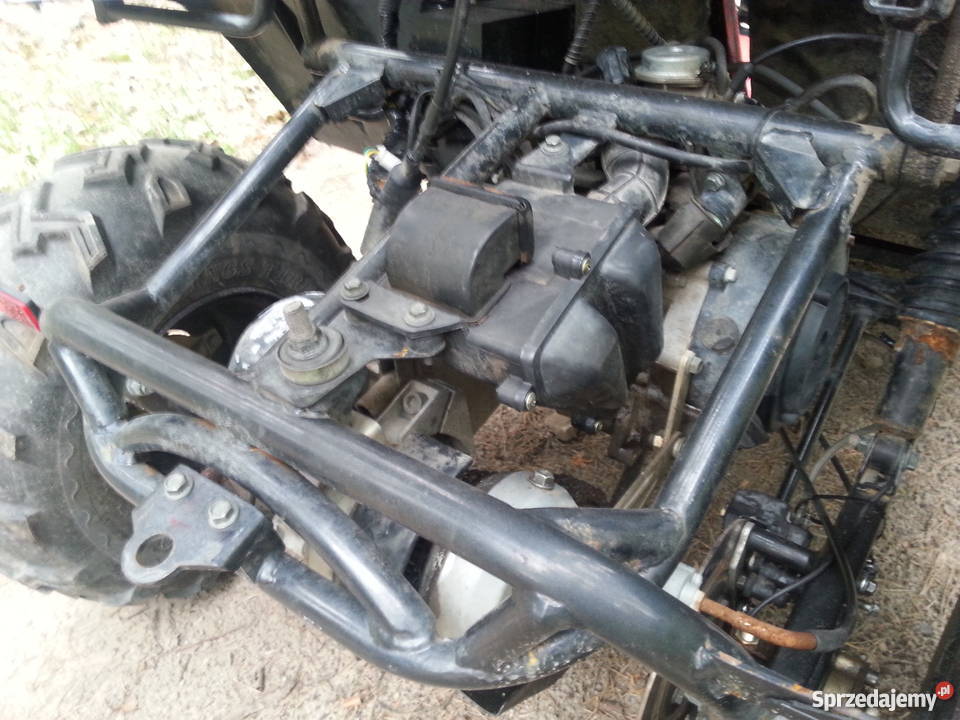 Buggy Zumico automatyczna podkarpackie Stalowa Wola