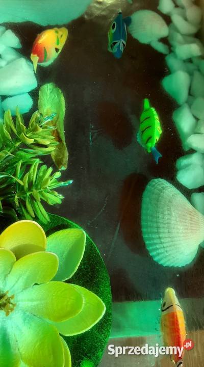 Stół z żywicy epoksydowej akwarium rybki Antyki, Sztuka, Kolekcje małopolskie Stary Sącz