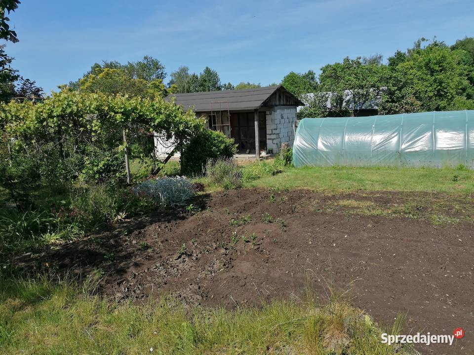 Działka ROD rekreacyjno warzywna Nieruchomości zachodniopomorskie