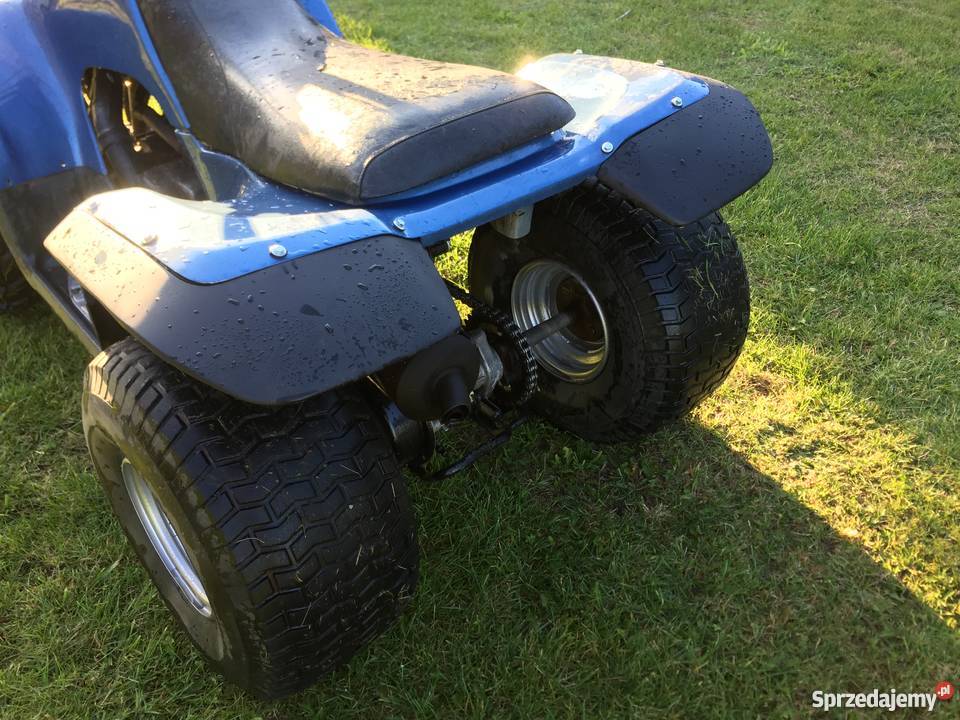 Quad Yamaha Breeze YFA 125 2005 Yamaha Wolsztyn