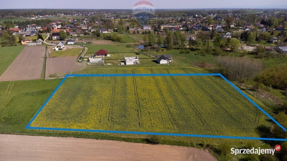 DZIAŁKA BUDOWLANA CZARKÓW KPSZCZYNY Sprzedaż Czarków