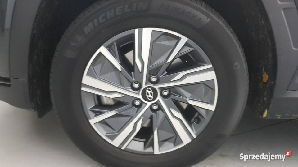 Hyundai Tucson 16 TGDi HEV Executive 2WD Z światła LED Tucson Warszawa