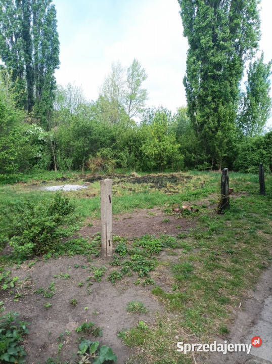 sprzedam udział 80 Sprzedaż Świebodzice sprzedam