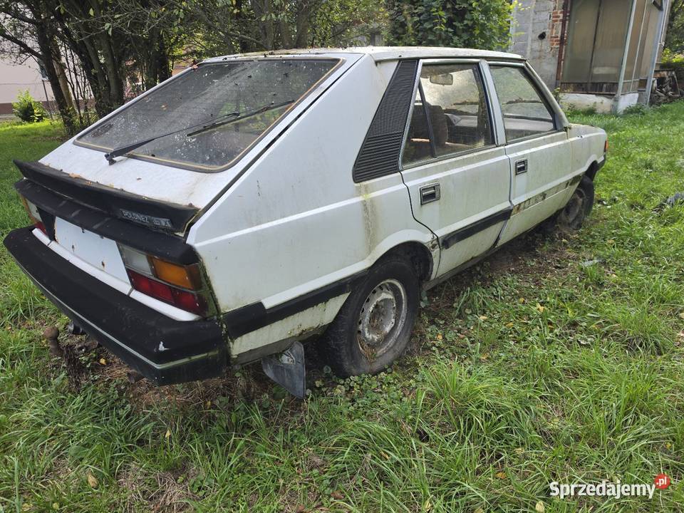 Polonez Borewicz Krosno