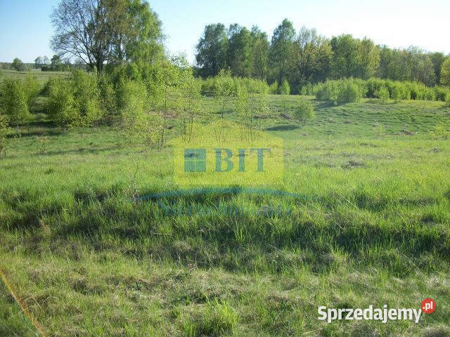 Działka 219 ha jeziorze Drawsko Siemczyno