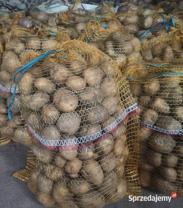 Sprzedam ziemniaki jadalne Gołuchów sprzedam