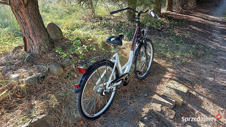 Alu Rower Miejski Damski Prophete City 600 Damka dolnośląskie Wołów