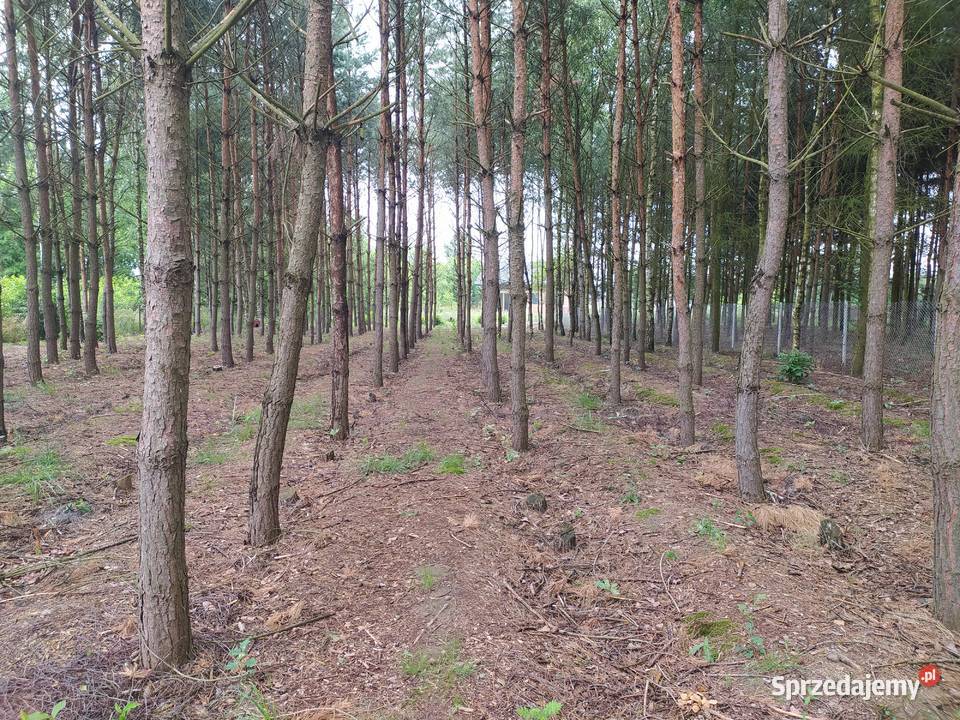 Działka budowkana 2632m2 Radomsko