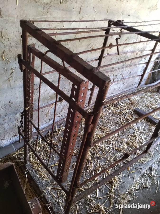 Kojec porodowy Rusociny