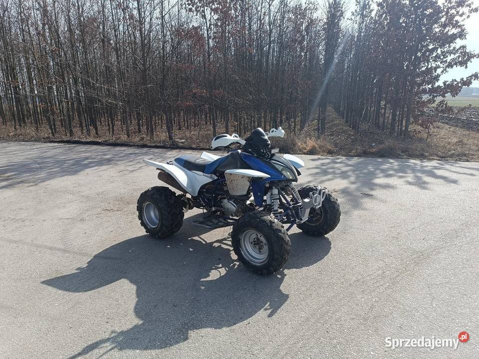Sprzedam Quad Bashan 250 Niedarczów Dolny-Wieś