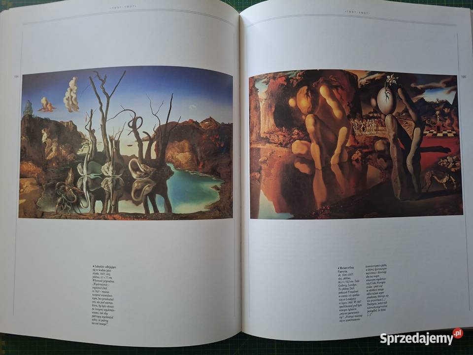 Życie i twórczość Salvador Dali Arkady sztuka, kultura i etnologia Kraków sprzedam