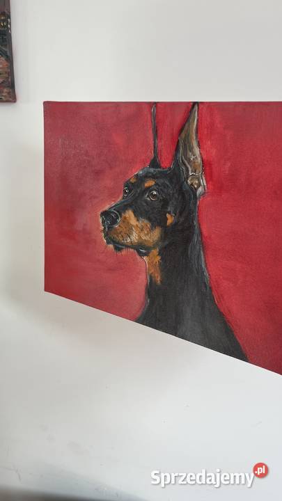 Obraz olejny Doberman 30x40 ręcznie malowany Świebodzin