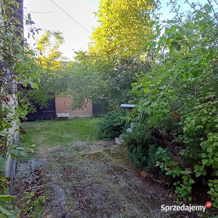 Sprzedam dom z ogrodem Albigowa