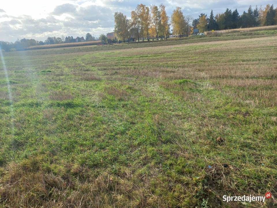 Dzialka budowlana 0zł/m2 Sprzedaż