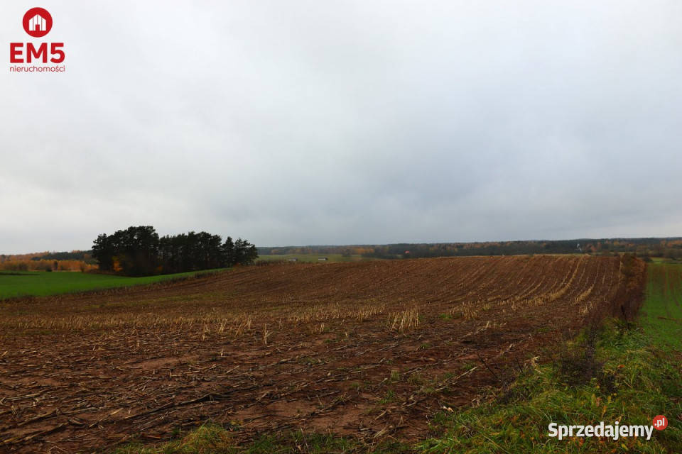 Działka 12000m2 Żegary