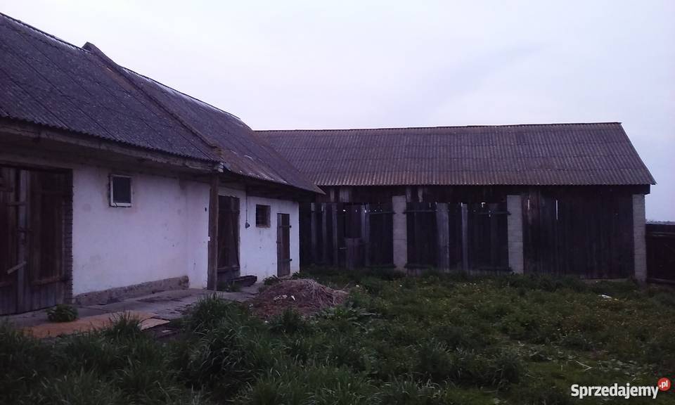 Sprzedam dom w pięknej okolicy ogródek Pokrzywnica