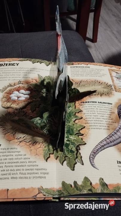 wielka księga dinozaury plakietki rozkladanki Poznań