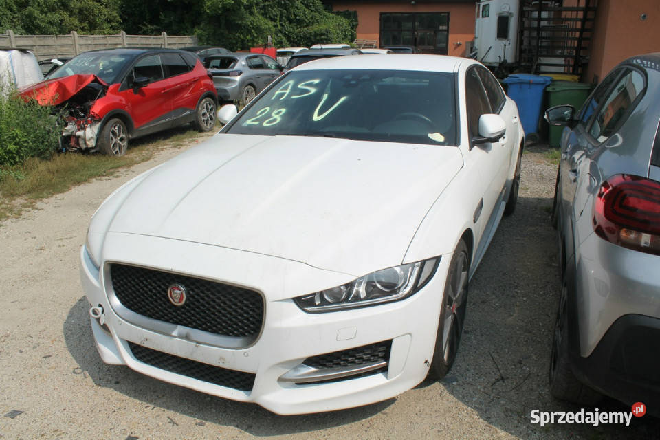 Jaguar XE I 2014 Ostrów Wielkopolski sprzedam