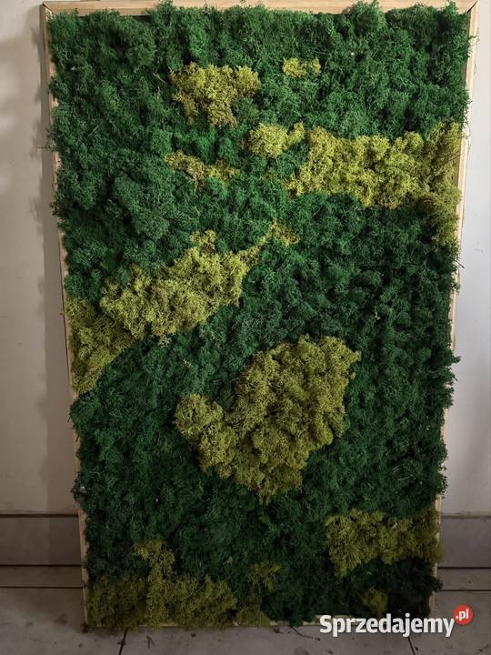 Obraz ze sztucznego mchu 120x80 Starogard Gdański