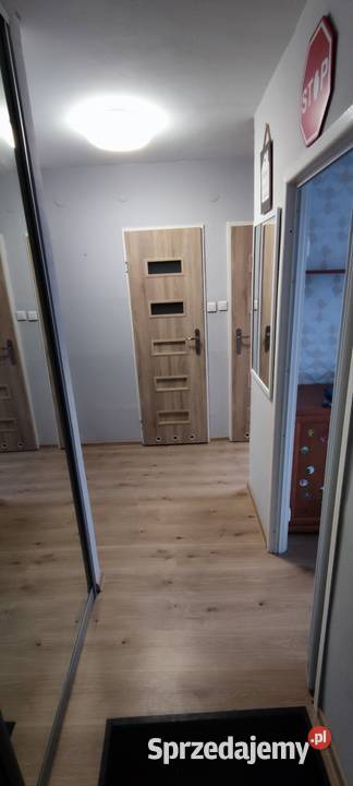 Mieszkanie w bloku M3 39m2 sieć Pabianice