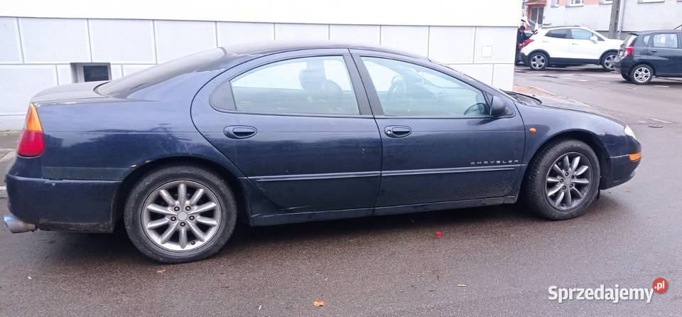 Chlysera 260 koni Sosnowiec