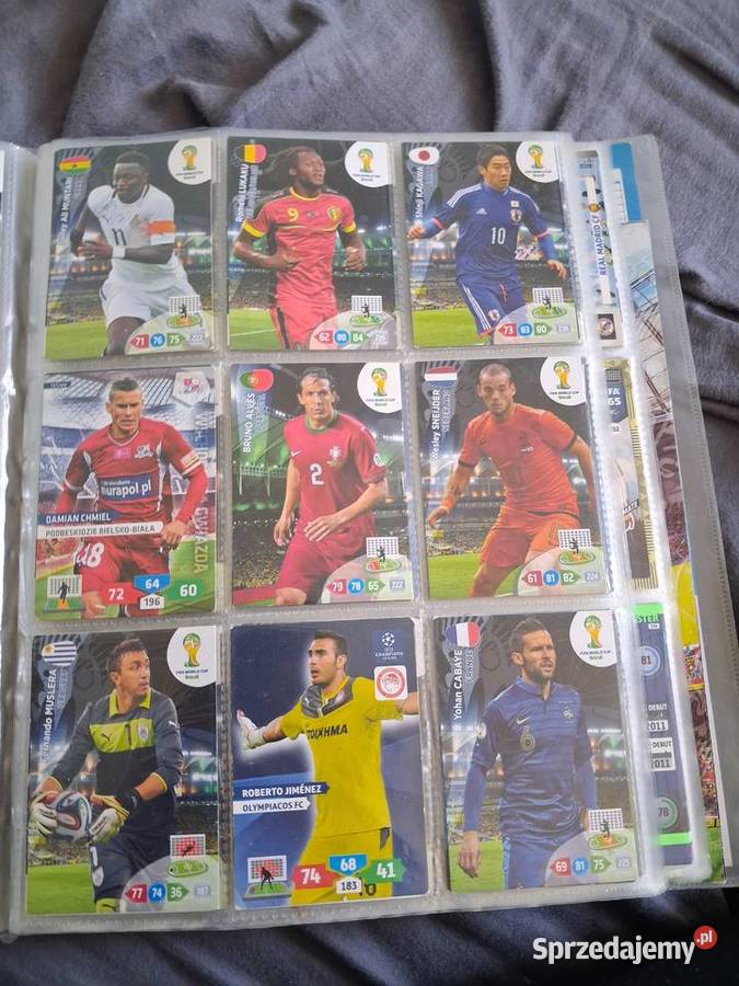 Wielka kolekcja kart Panini Adrenalyn XL Poznań
