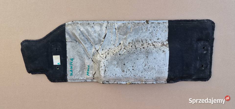 MAN TGX E6 EURO 6 WYGŁUSZENIE EKOLOGIA PRAWA Bieleń