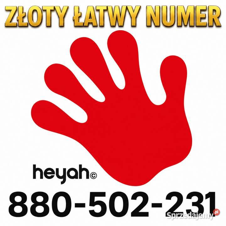 Złoty Łatwy Numer 880502231 świętokrzyskie Chroberz