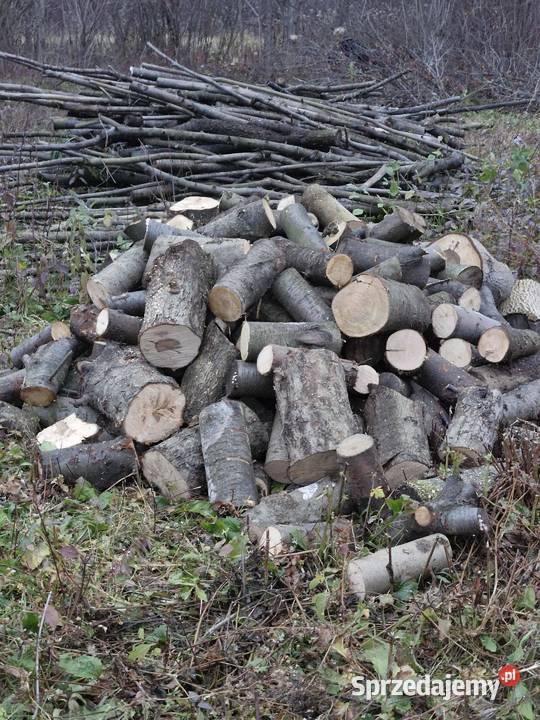 Drewno opałowe Jasło