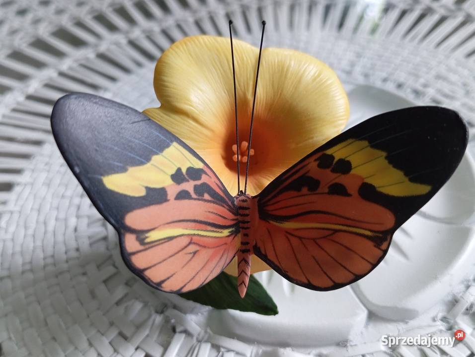 Porcelanowy motyl Franklin Zielona Góra