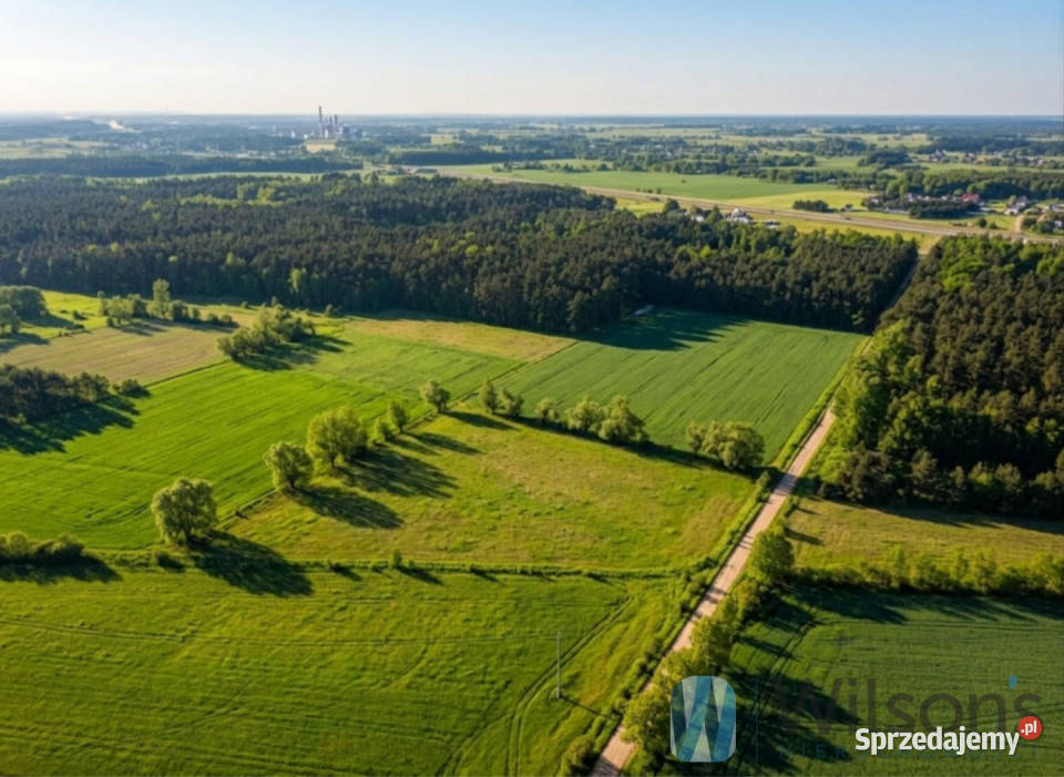 Działka Śródborze 128499 metrów