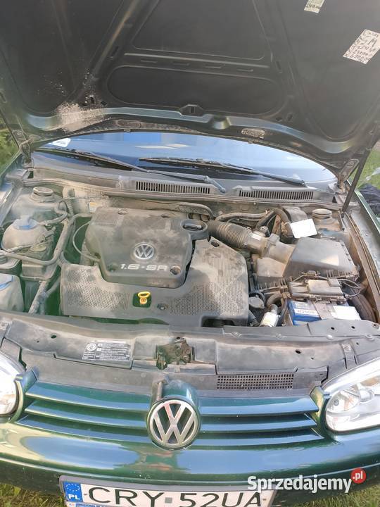 Volkswagen Golf IV Samochody osobowe kujawsko-pomorskie Wąpielsk