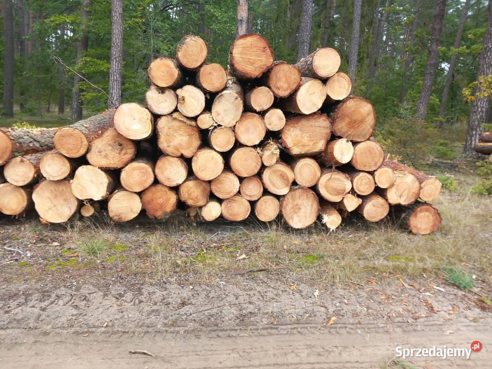 Różne rodzaje drewna opałowegokominkowego warmińsko-mazurskie Mikołajki sprzedam
