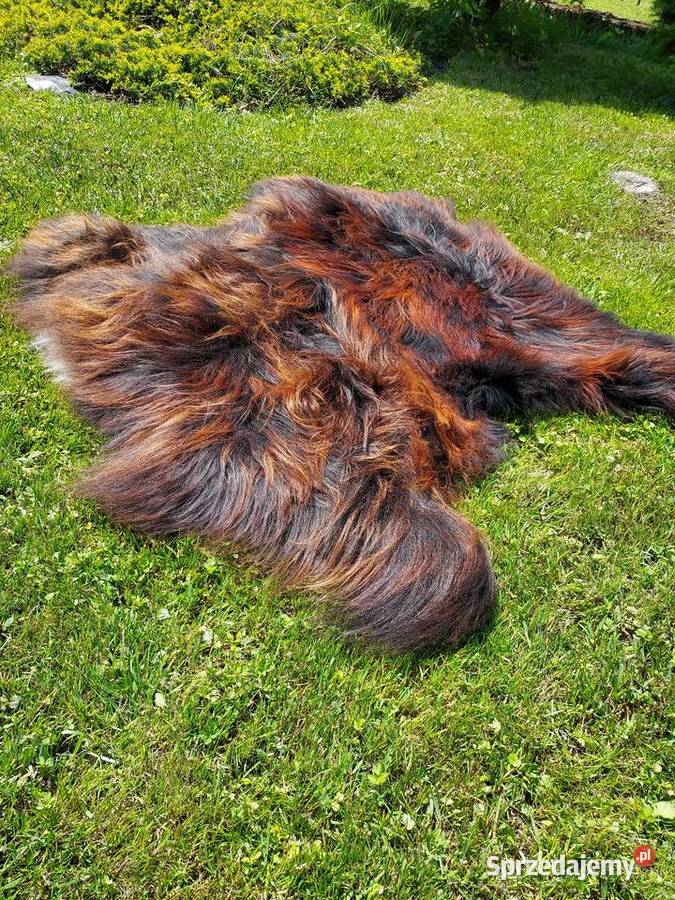 Dywanik Skórzany Dwie Zszywane Skóry Owcze Szaflary sprzedam