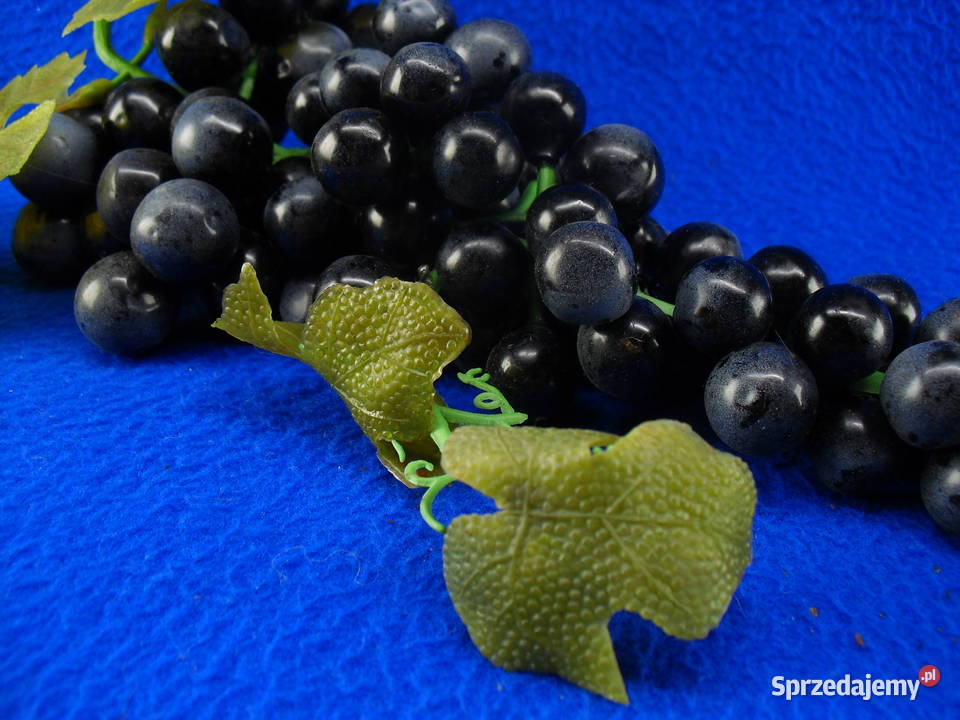 Winogrona do dekoracji Bielawa