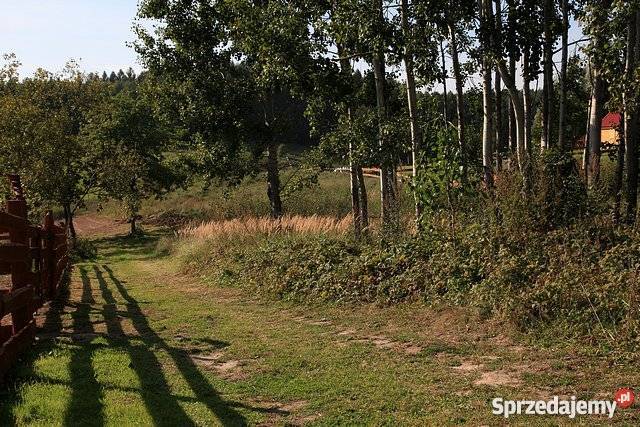 Działka bud 3417 m2 Leśniewo jez Rydzówka wz budowlana sprzedam