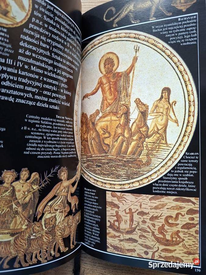 Tunezja przewodnik Pascala sprzedam