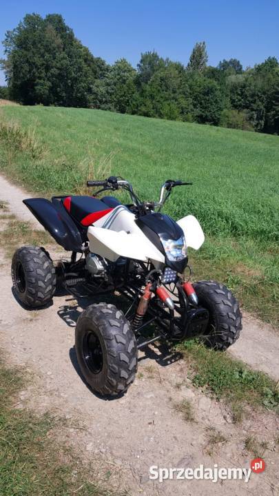 Bashan 250 manual 250cm3 Krosno