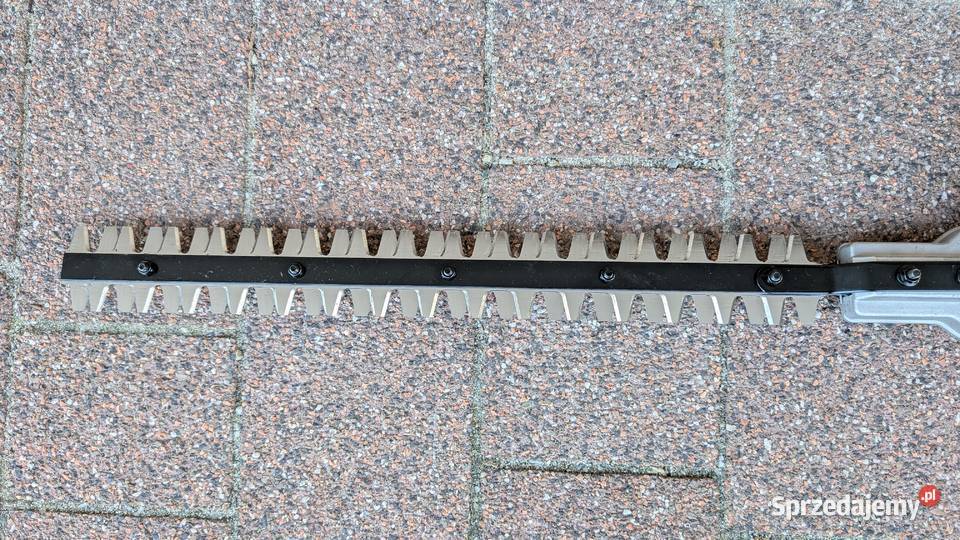 Nożyce teleskopowe Hawskmoor PHCEG03A 1010W Jadowniki