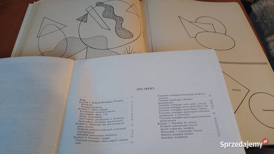 Wzory i obrazki program rozwijający percepcję Gdańsk