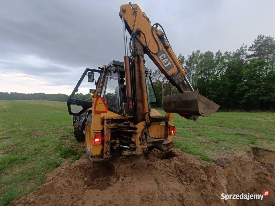 Cat 428 Michów