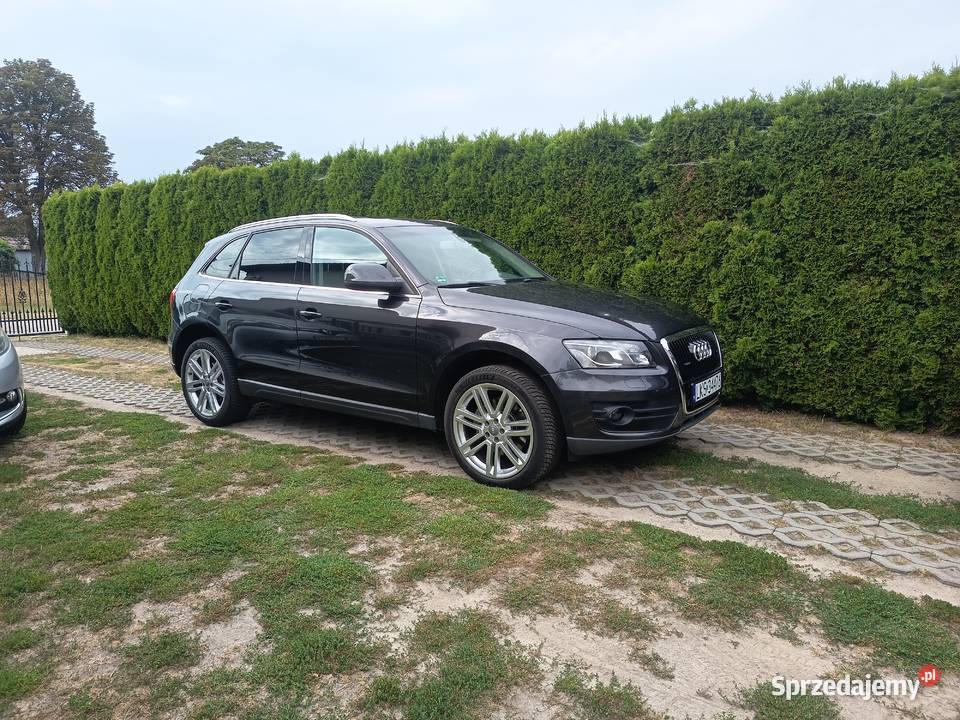 Audi Q5 30 TDI Quattro Panorama Xenon Led diesel Krasnystaw
