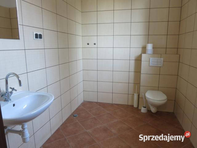 wynajmu lokalu 682m2 Reguły Wynajem
