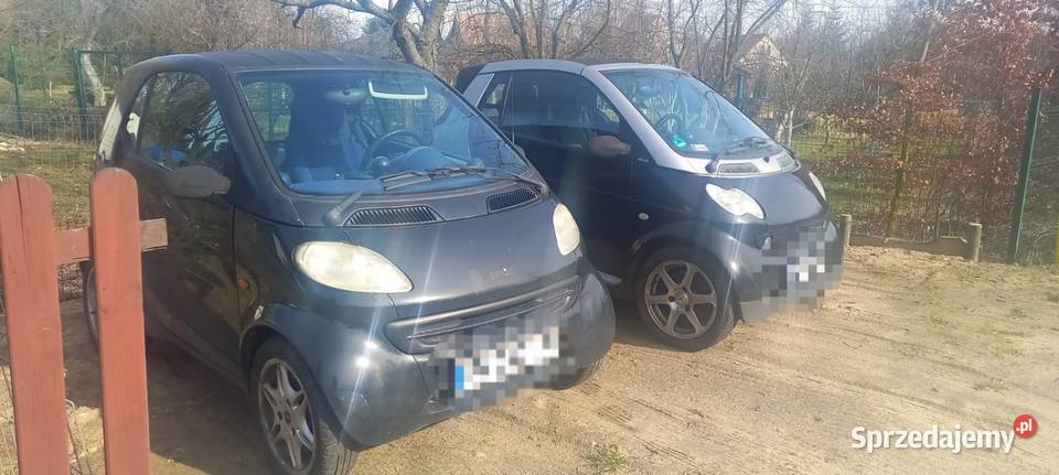 Dwa Smarty w jednego Tarnowo Pałuckie
