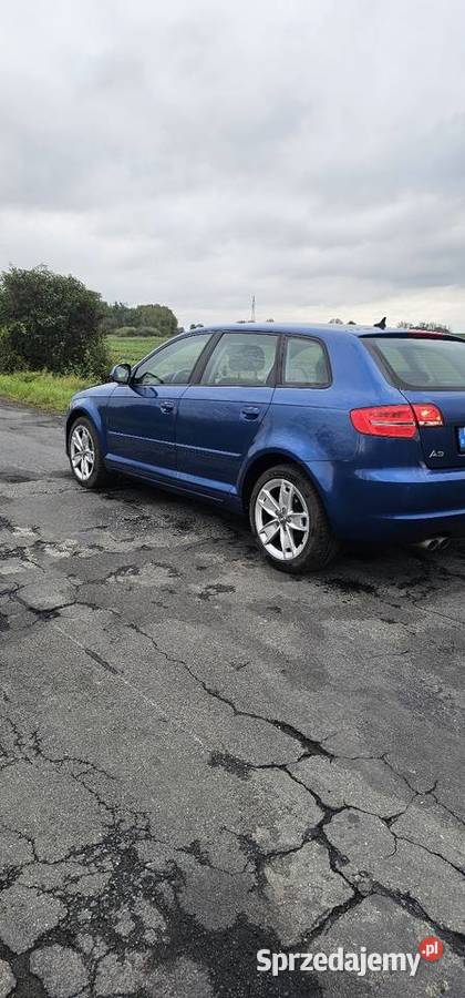 Audi A3 8P 20 TDI dolnośląskie Wrocław