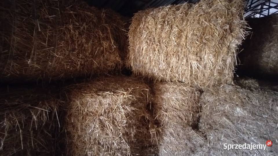 Słoma bele 120x120 Krosinek