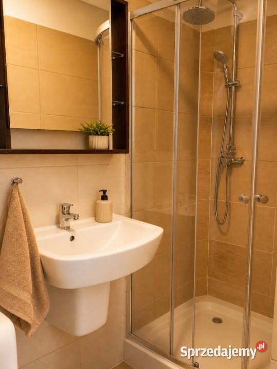 3 pokojowe w centrum z oddzielną kuchnią Szczecin