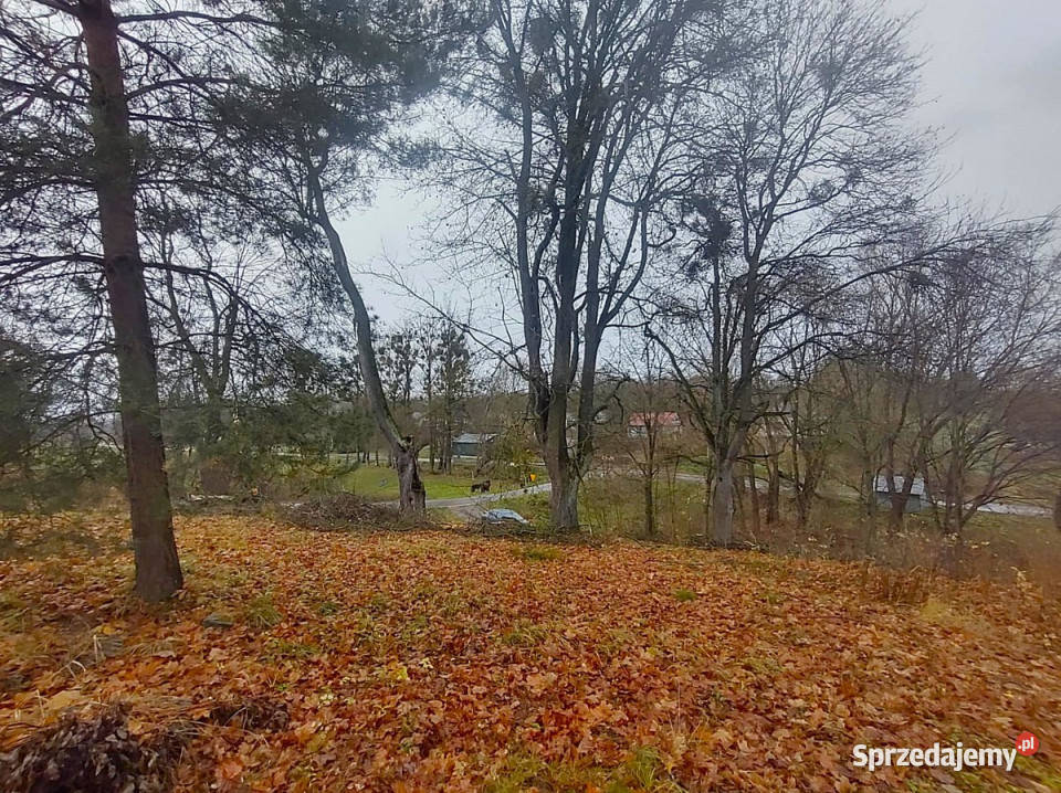 Sprzedam dom wolnostojący Radomirka 686 metrów sprzedam